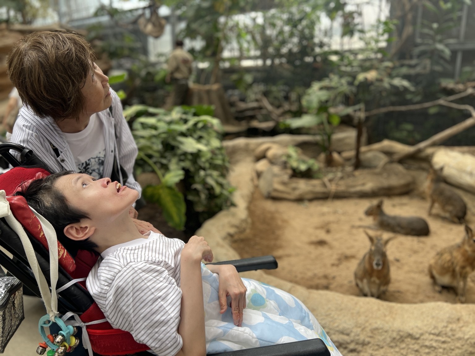 動物園への外出